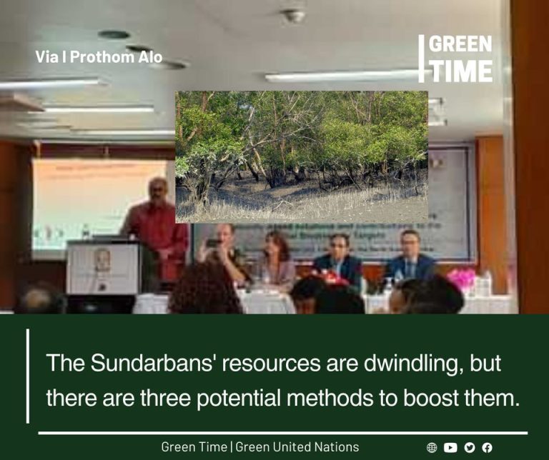 Sundarbans Resources Shrink, Three Boosts