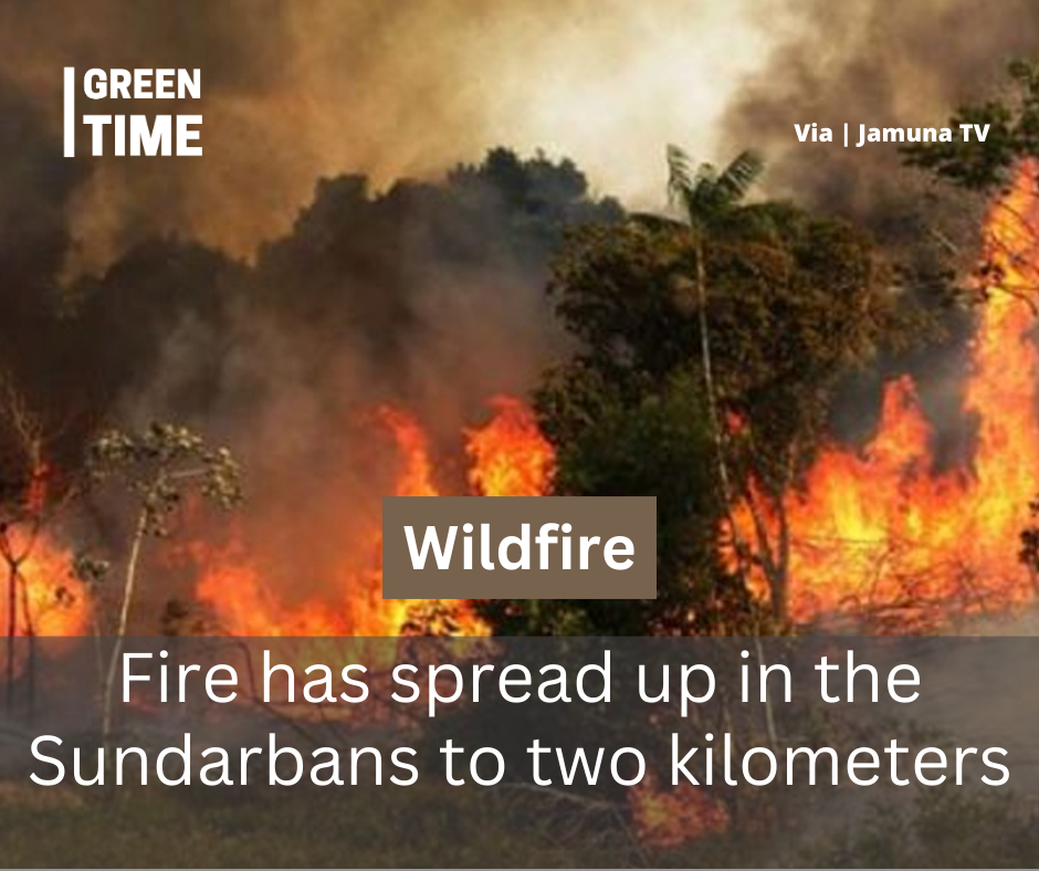 Fire has spread up in the Sundarbans to two kilometers