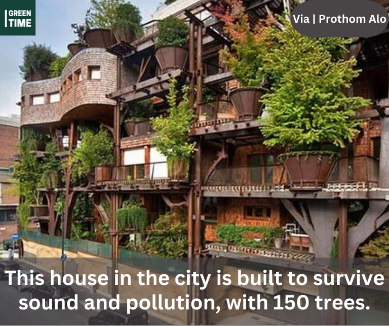This house in the city is built with 150 trees.