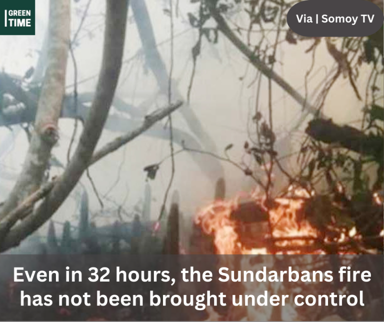 Even in 32 hours, the Sundarbans fire has not been brought under control