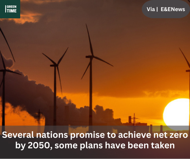 Several nations promise to achieve net zero by 2050, some plans have been taken
