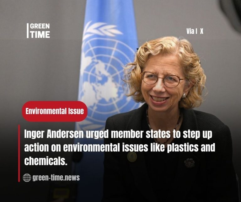 UNEP Chief Inger Andersen Calls for Urgent and Ambitious Action on Environmental Challenges