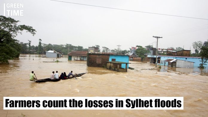 Sylhet floods impact fish and crop farmers