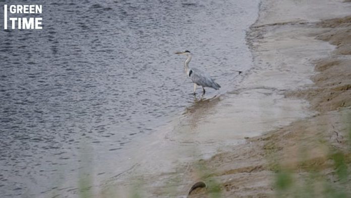 Major River Pollution Found in 75% of UK Rivers