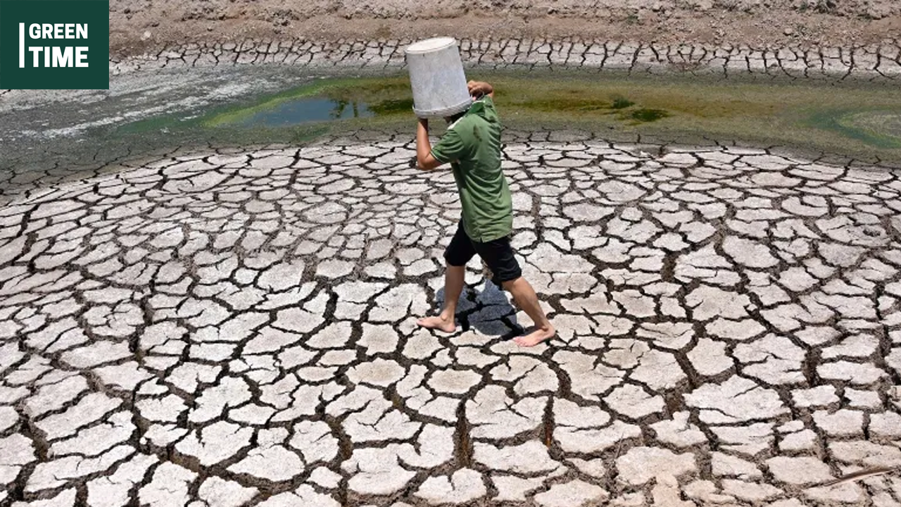 Addressing Rising Food Prices and Climate Change: World Environment Day focuses on Land Restoration