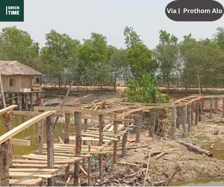 Around the Sundarbans, one resort after another, AC generators are running