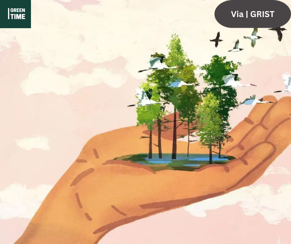 A great number of species are in danger of going extinct due to climate change. To what extent should we step in?