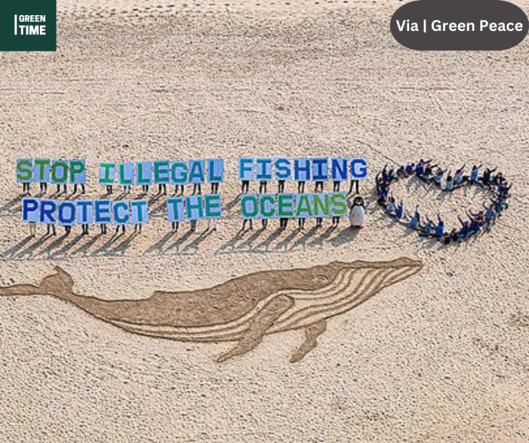 Alarming shortcomings in the management of global fisheries