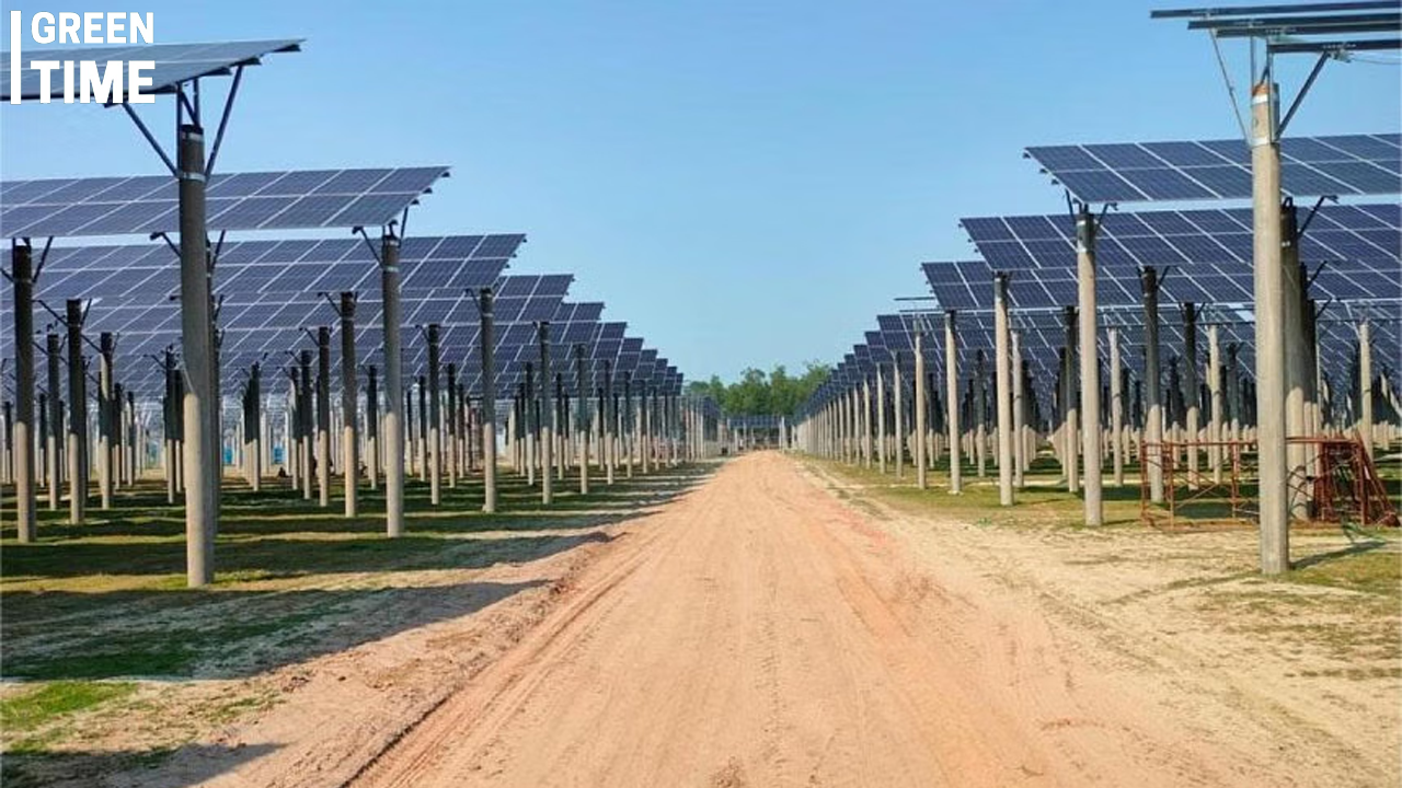 Sirajganj 68MW Solar Park Begins Operations, Boosting National Grid