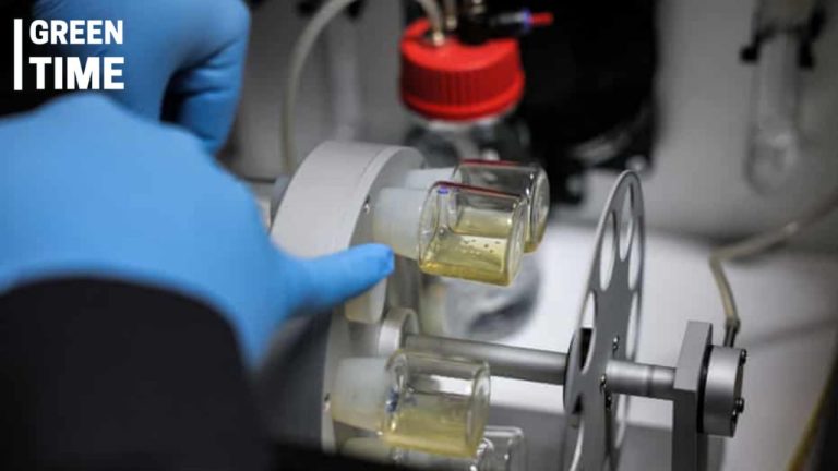 Stem Cell-Based Embryo Models