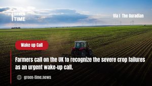 UK fruit and vegetable production decline