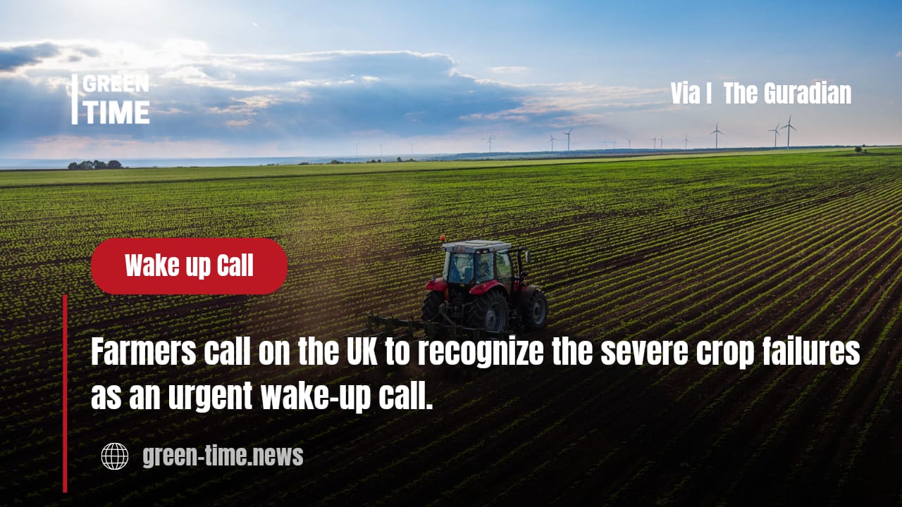 UK fruit and vegetable production decline