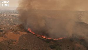 Heatwave Shatters Records and Fuels Wildfires