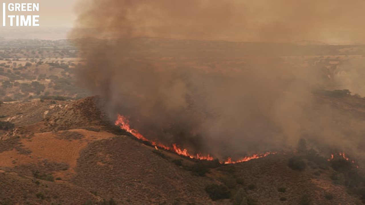 Heatwave Shatters Records and Fuels Wildfires