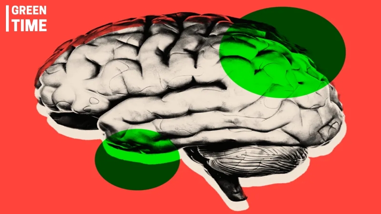 New Technology Aims to Slow Brain Ageing