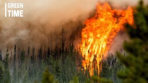 Canada Wildfires CO2 Emissions