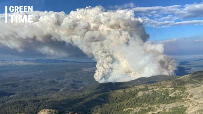 Canada wildfires carbon emissions