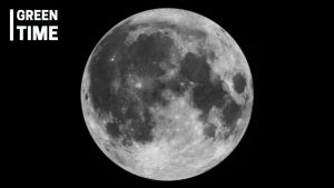 Lunar cryogenic biorepository