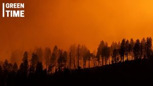 Western US wildfire season 2024