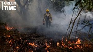 2024 Pantanal wildfires climate impact