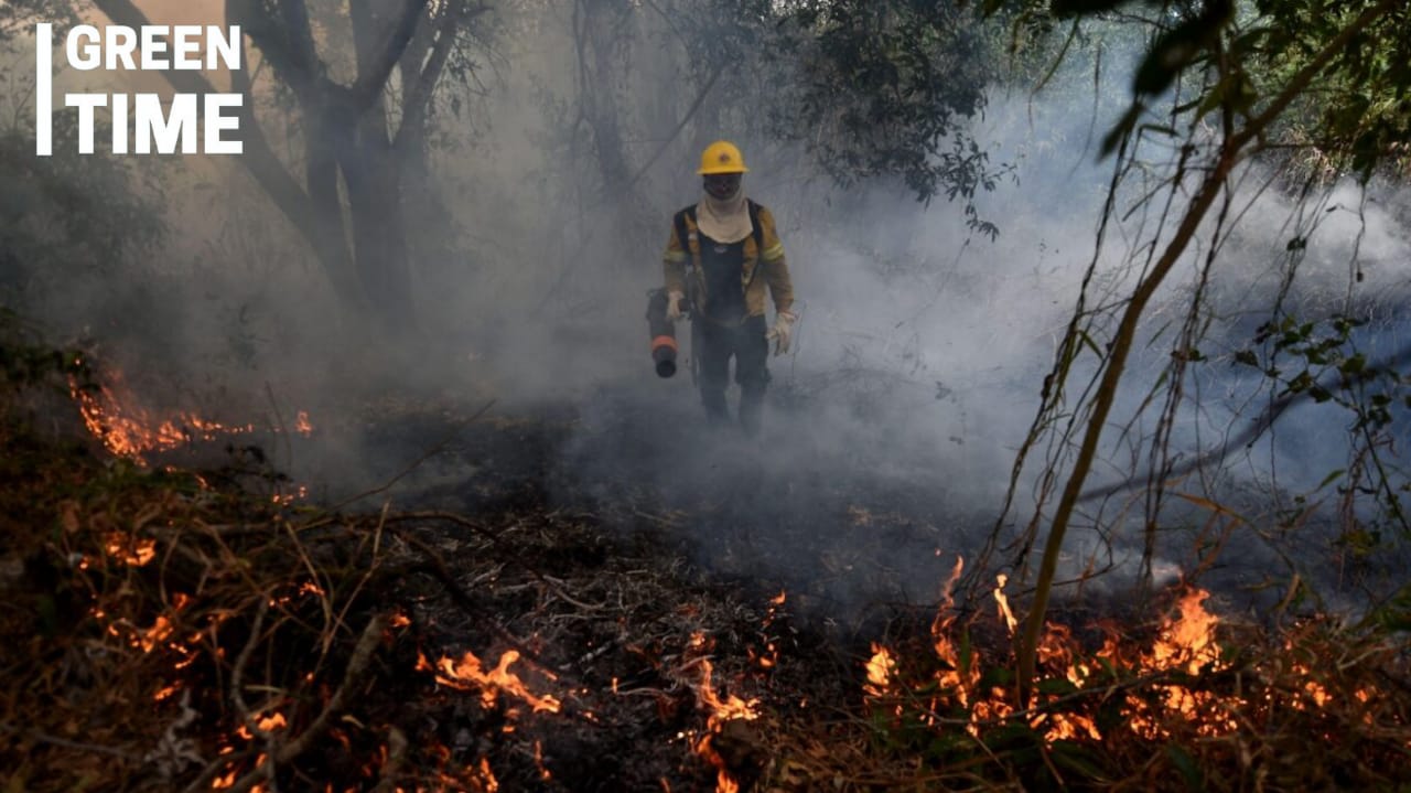 2024 Pantanal wildfires climate impact