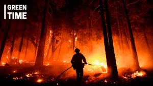 Impact of extreme heatwaves 2024