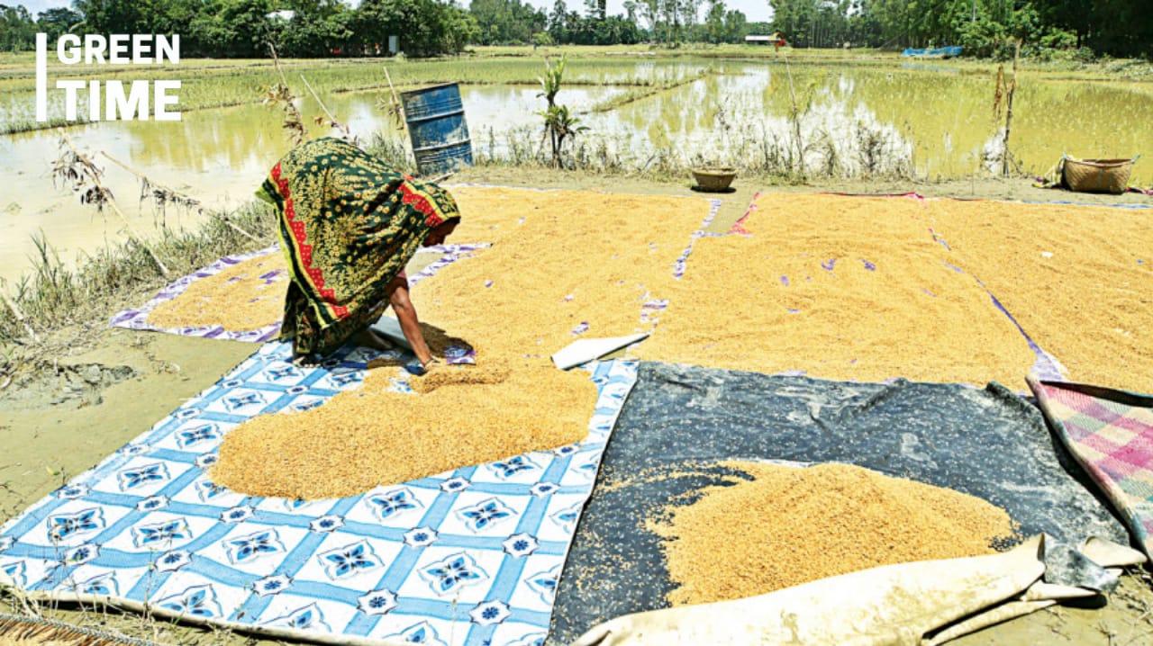 Outbreak of Waterborne Diseases Escalates Amid Ongoing Floods in Bangladesh