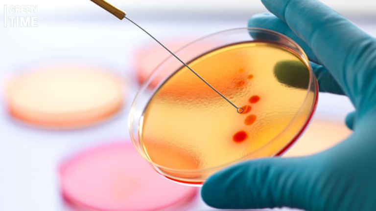 Unregulated Antibiotic Use in Animal Research Facilities Fuels Antibiotic Resistance Crisis