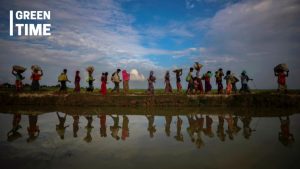 Rohingya refugees flee Myanmar