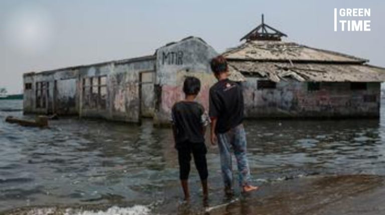 Stop Global Warming to Turn the Tide on Sea Level Rise: UN Assembly President
