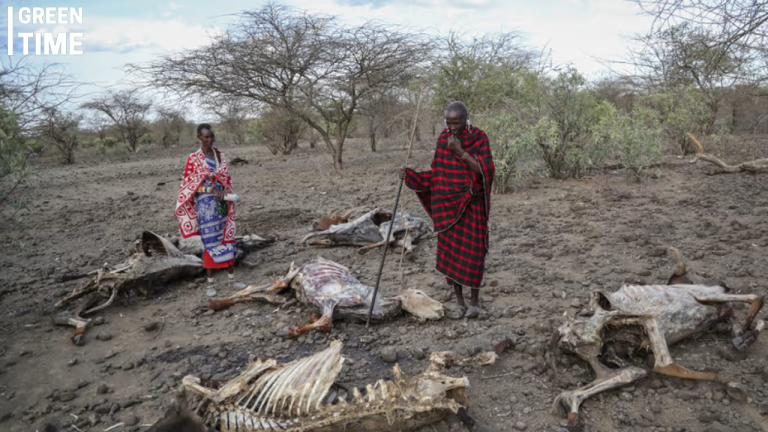 Global Warming Costs African Nations 5% of Economic Output, Urgent Call for Increased Climate Finance