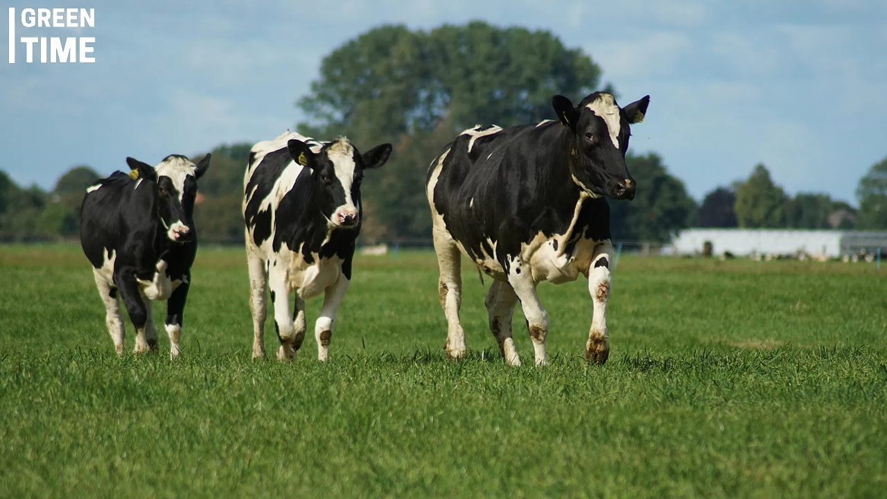 Concerns Grow Over Dutch Coalition’s Environmental Plans After Scrapping National Rural Programme