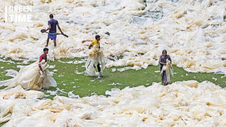 Polythene Ban Takes Effect in Supermarkets Across the Capital