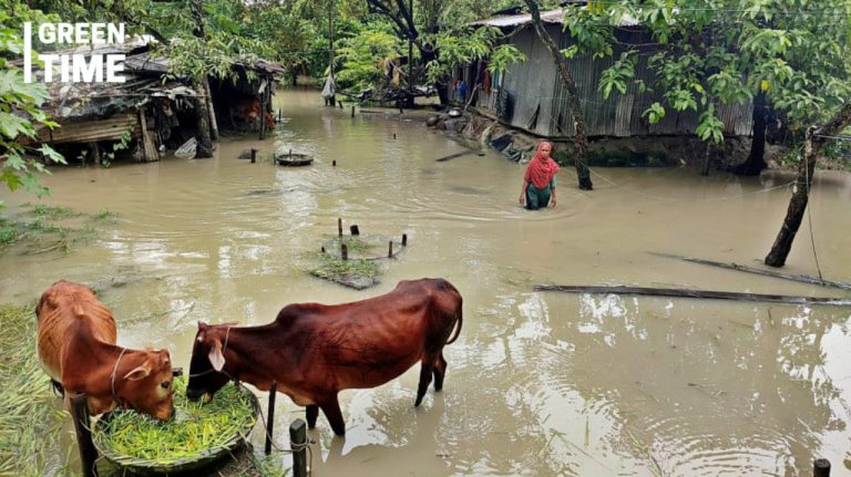 Inclusive Disaster Preparedness: A Call for Change