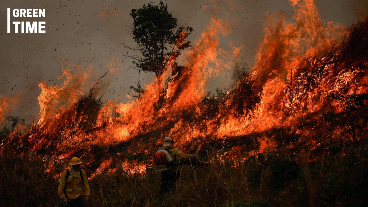 South America on Fire: Wildfires Threaten Lives, Health, and the Environment