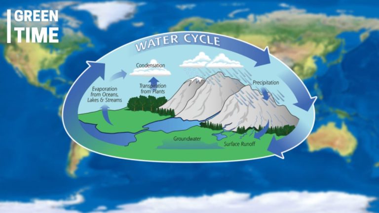 Urgent Call to Address Global Water Crisis Amid Climate Change