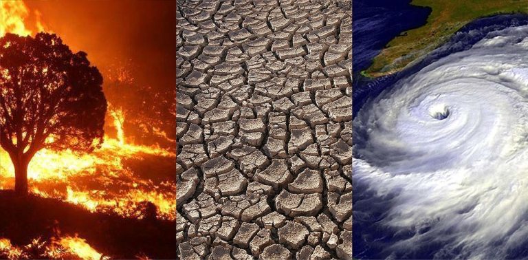 Climate Finance: A Necessity, Not Charity