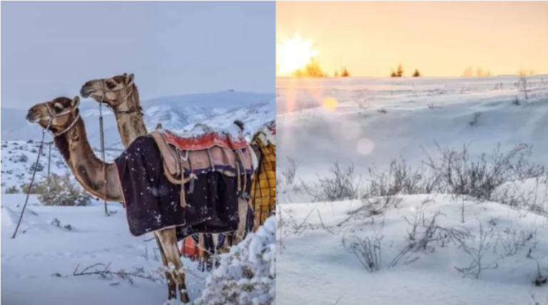 Saudi Arabia’s rare snowfall turns desert into winter white wonder
